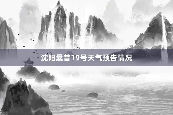 沈阳曩昔19号天气预告情况
