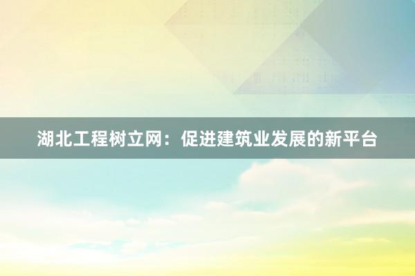 湖北工程树立网：促进建筑业发展的新平台
