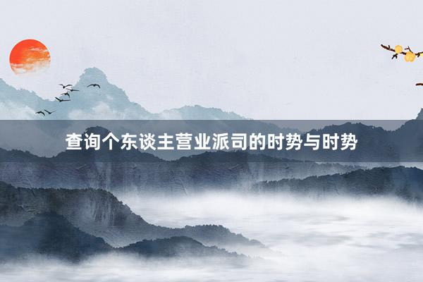 查询个东谈主营业派司的时势与时势