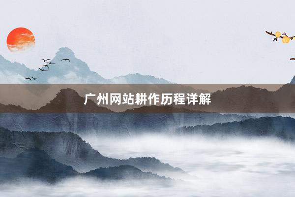 广州网站耕作历程详解