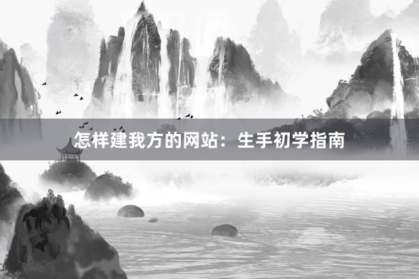 怎样建我方的网站：生手初学指南